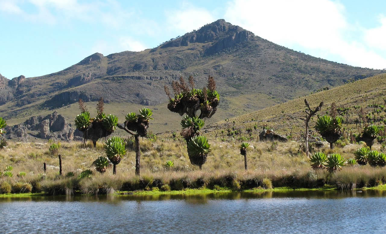 A Mount Elgon